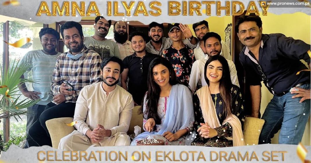 Amna Ilyas weaves the internet with a splendid birthday bash