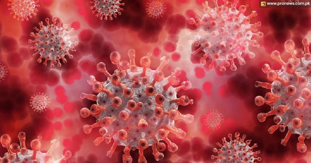 Boston College investigators make new coronavirus strain.