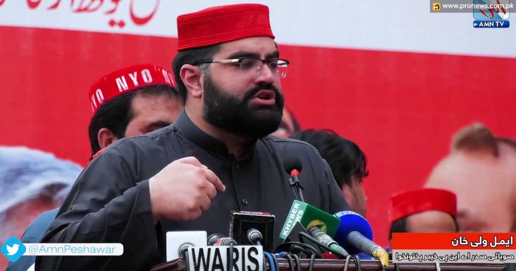 Criticism of Aimal Wali on by-election