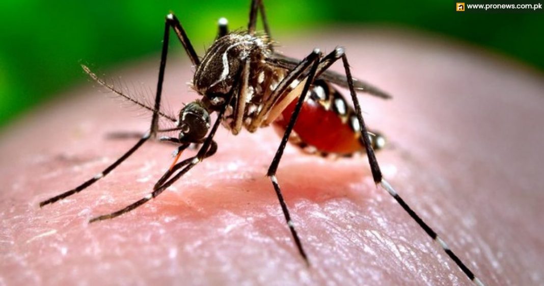 Dengue asserts another life in Sindh Province.