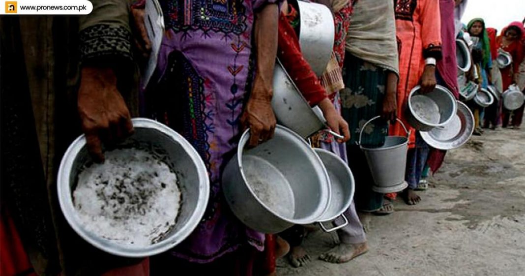 FAO official About 16pc of Pakistan's family influenced by food insecurity