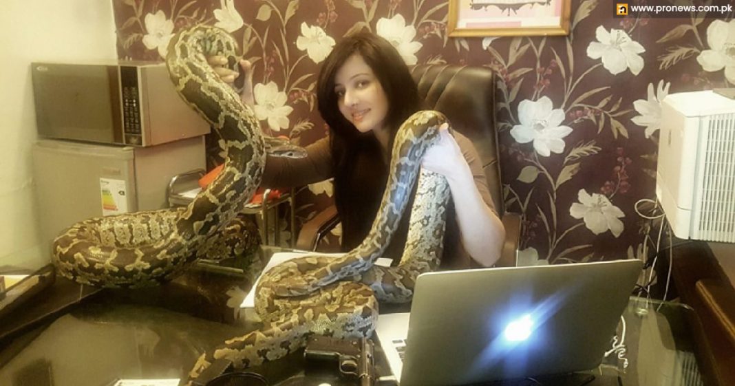 Rabi Pirzada discloses how she manages wild animals like snakes, lions, and wolves