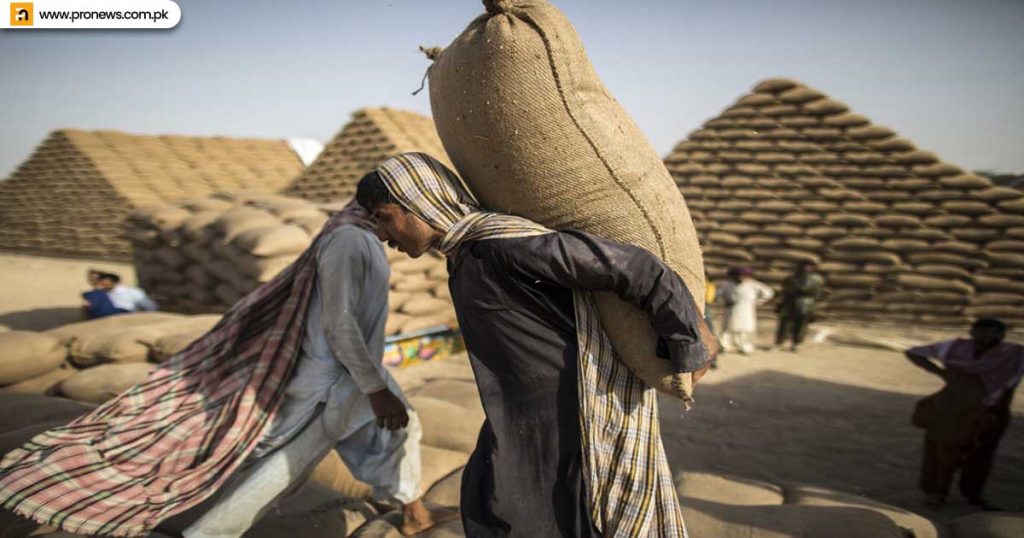 Shortage of wheat in Pakistan