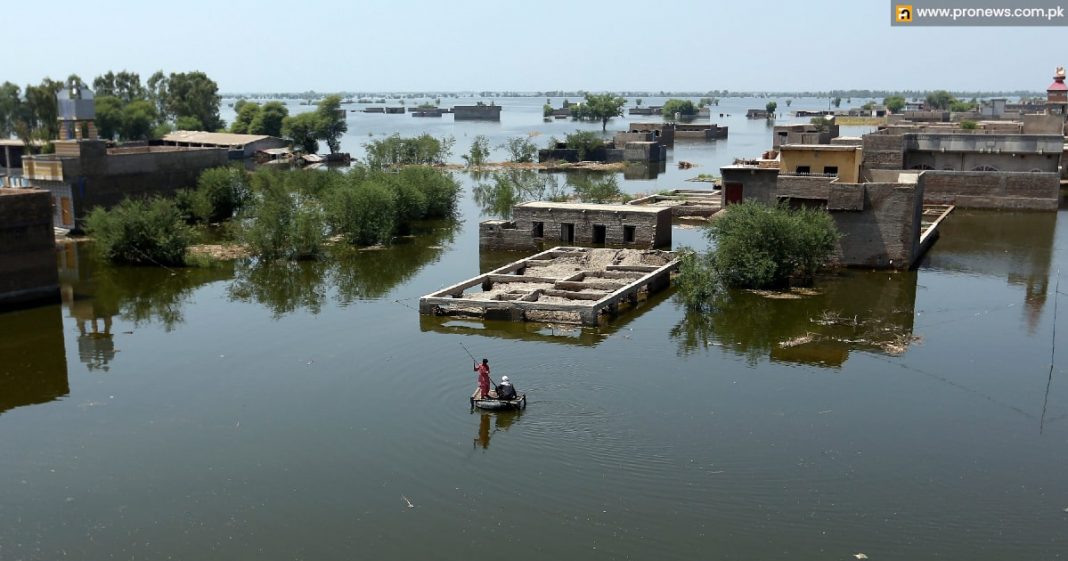 'We have no dry land left' impact of Pakistan floods on food for a while