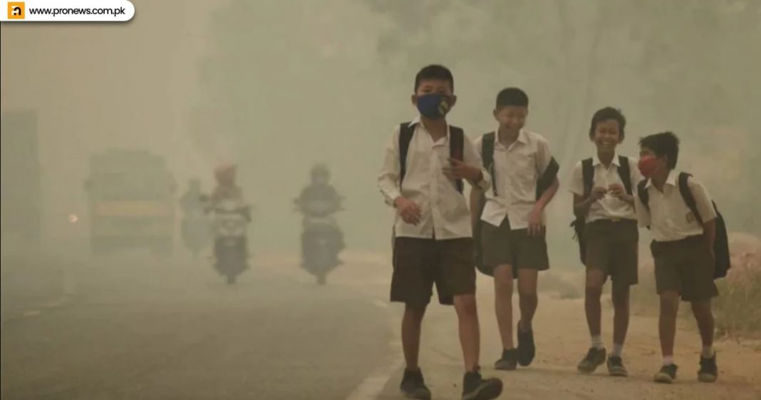 Delhi's air a 'crime against humanity', spikes calls to shut schools.