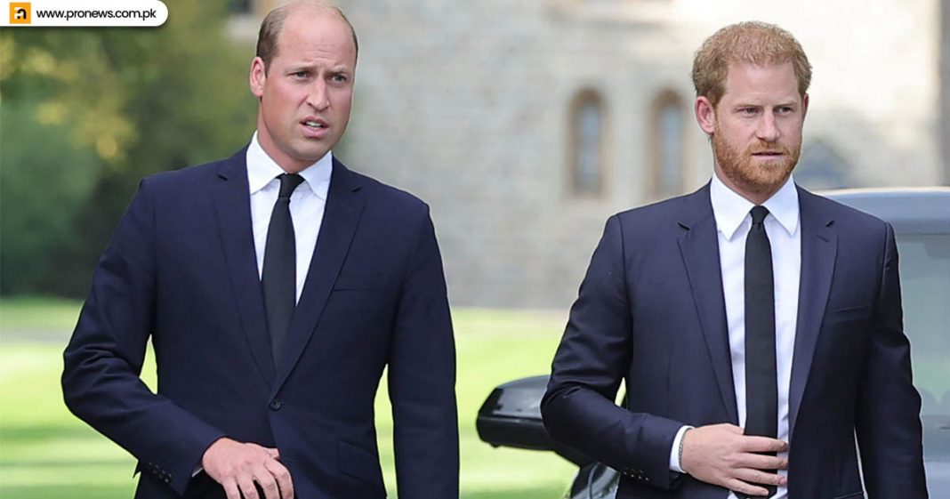 The Meeting of Prince Harry and Prince William in the US can fix their relationship.