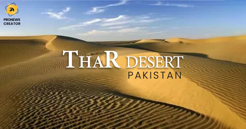 About Thar Desert