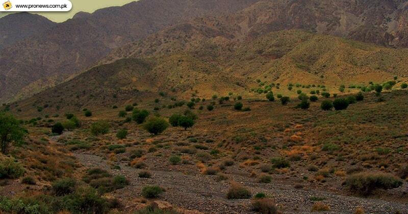 Hazarganji-Chiltan National Park - Mastung