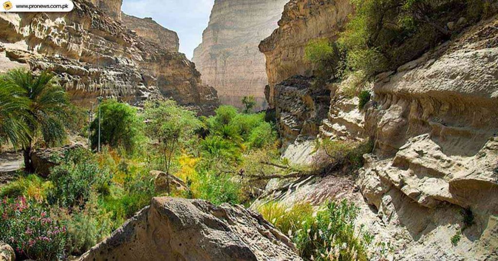 Hingol National Forest