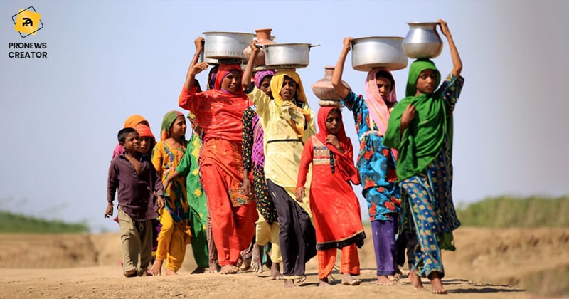 Individuals of thar desert