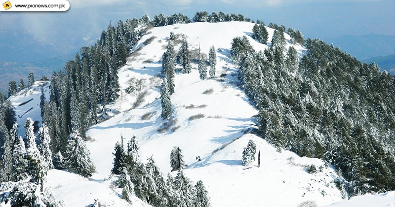 Mushkpuri