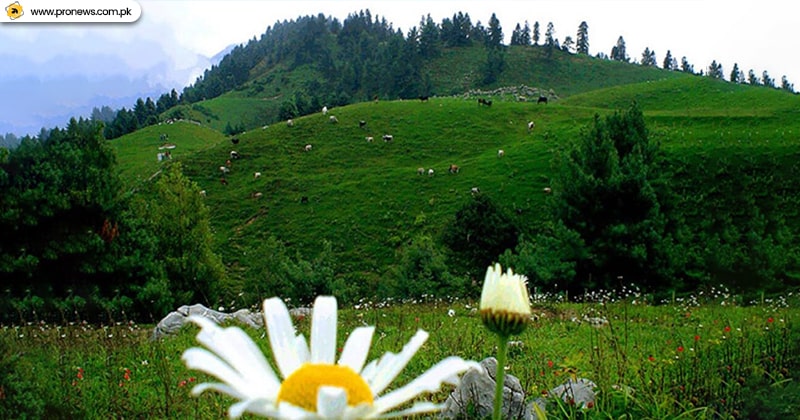 Nathiagali