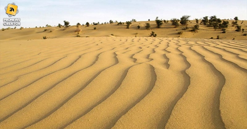 Thar Desert