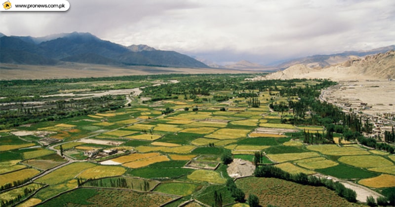 The Indus plain