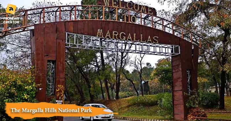 The Margalla Hills National Park