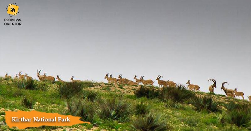 kirthar National park