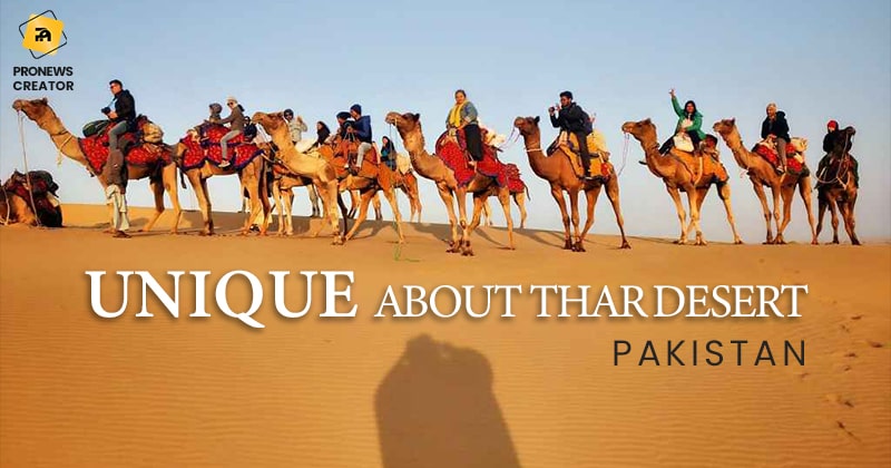 unique about thar desert