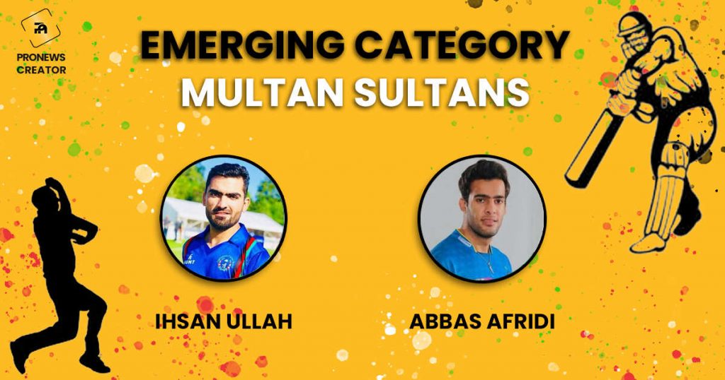 Emerging Category of Multan Sultans