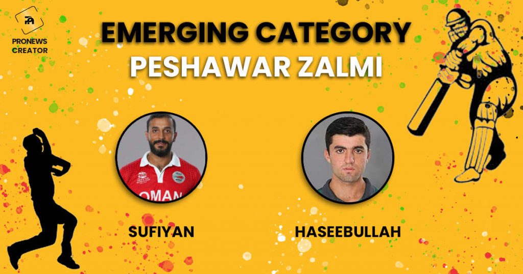 Emerging Category of Peshawar Zalmi