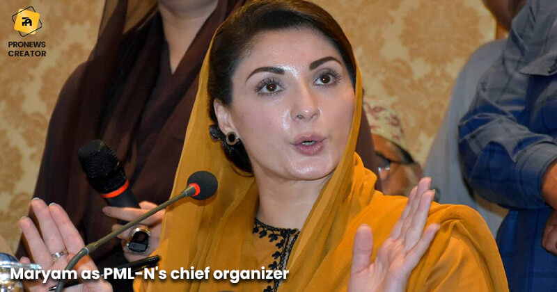 Maryam as PML-N's chief organizer