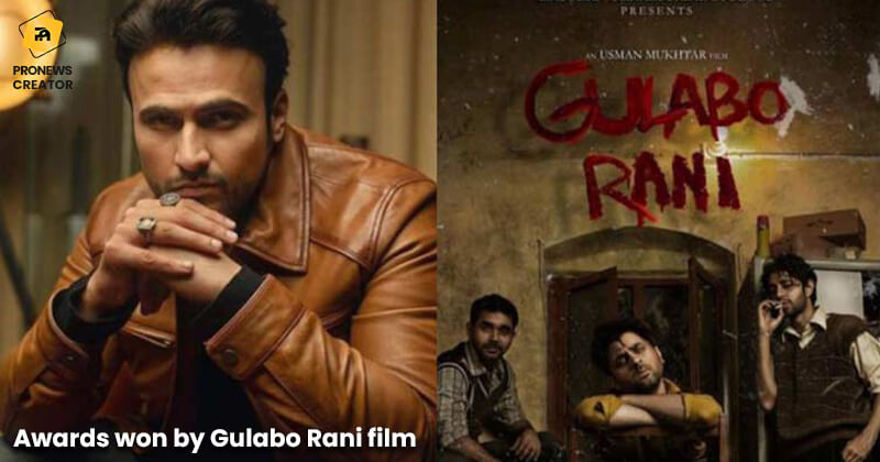 Awards won by Gulabo Rani film