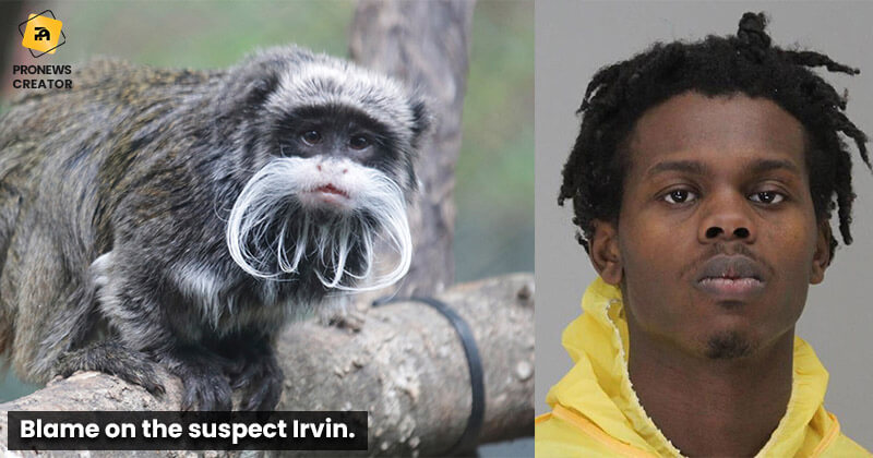 Blame on the suspect Irvin.