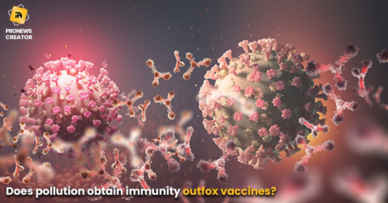 Does pollution obtain immunity outfox vaccines