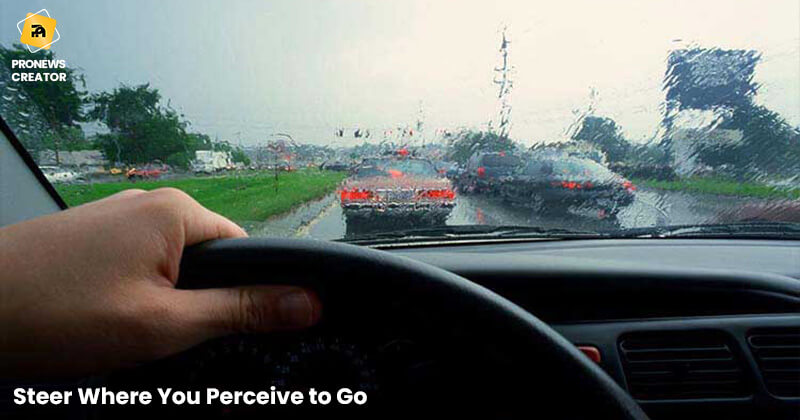 Steer Where You Perceive to Go
