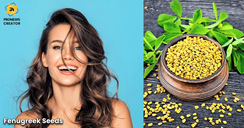 Fenugreek Seeds